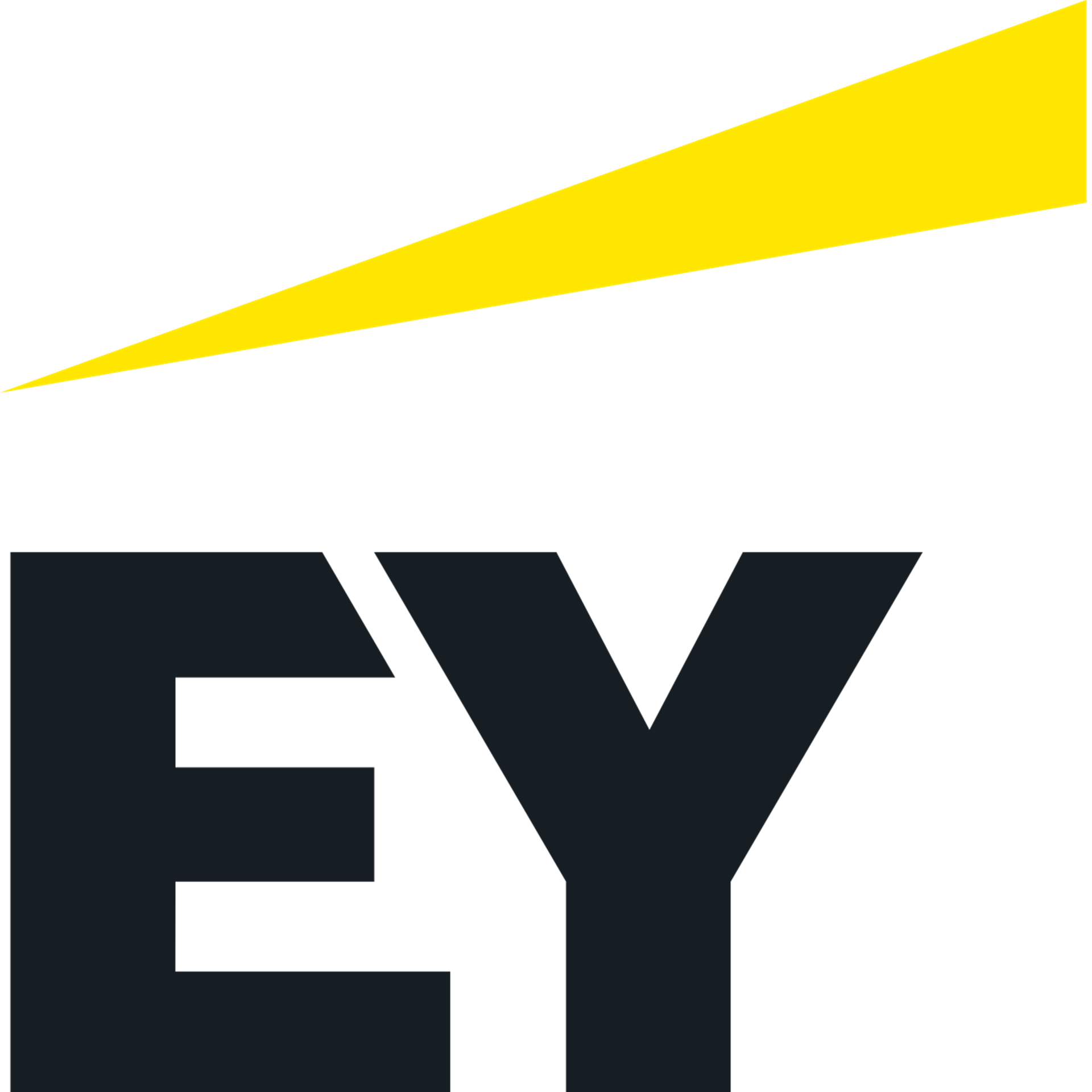 ERNST & YOUNG AS